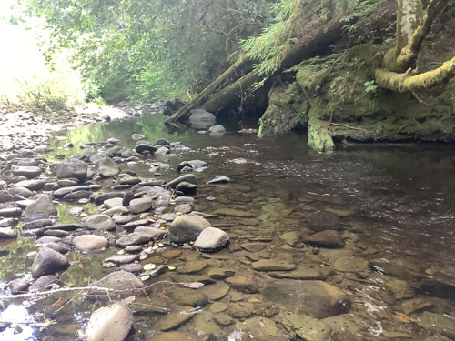 Upper Yager Down Stream